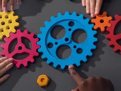 A diverse team is a working team