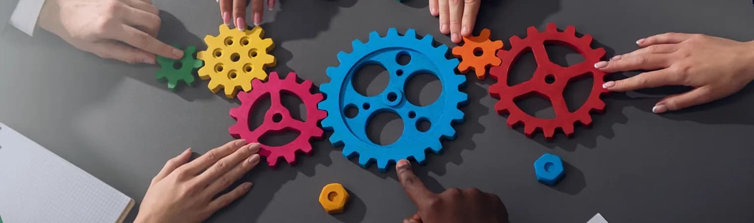 A diverse team is a working team
