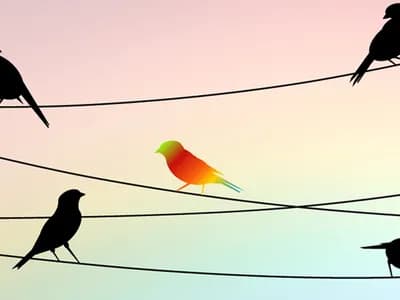 3 Creative Ways to Use Nearshoring to Maximize Revenue