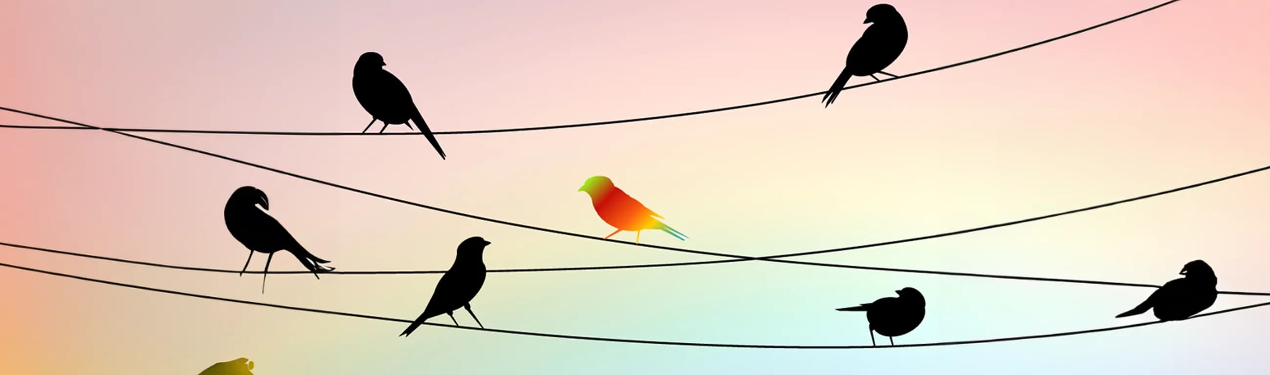 3 Creative Ways to Use Nearshoring to Maximize Revenue