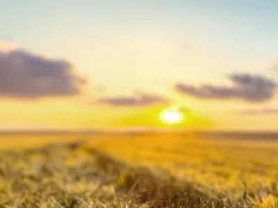 Finding Good Developers in 2024: Challenges & Strategies